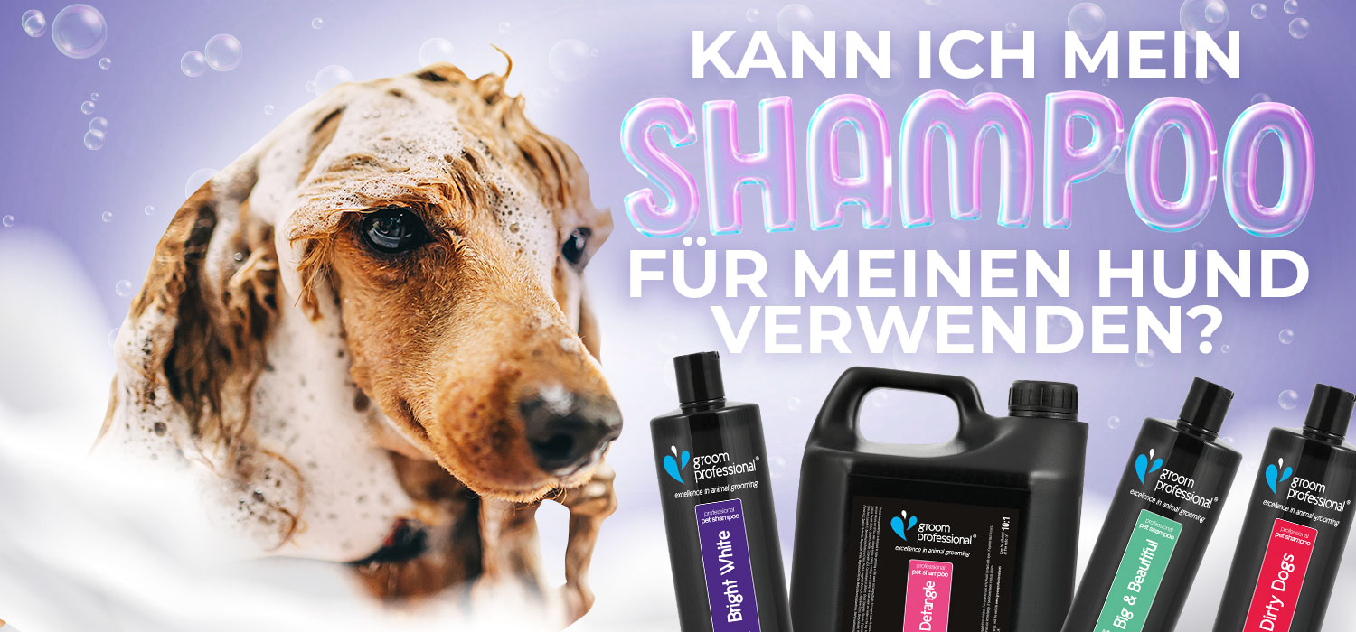 Kann ich mein Shampoo für meinen Hund verwenden?